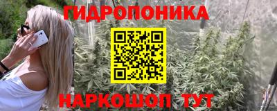 первитин Будённовск