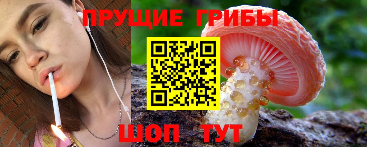 Галлюциногенные грибы Psilocybine cubensis  Галлюциногенные грибы Psilocybe  Первоуральск  Вход с VPN 